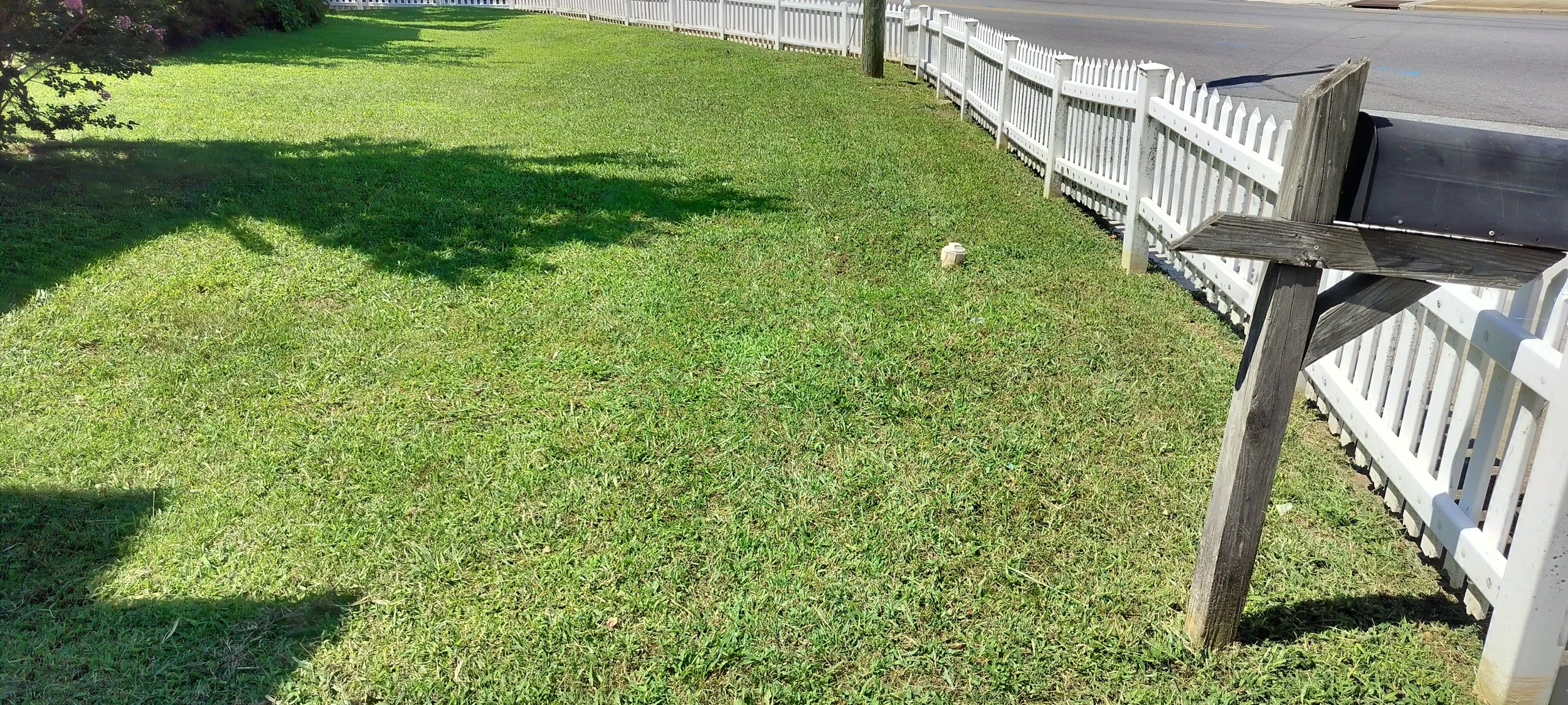 IMG20250815115829.jpg