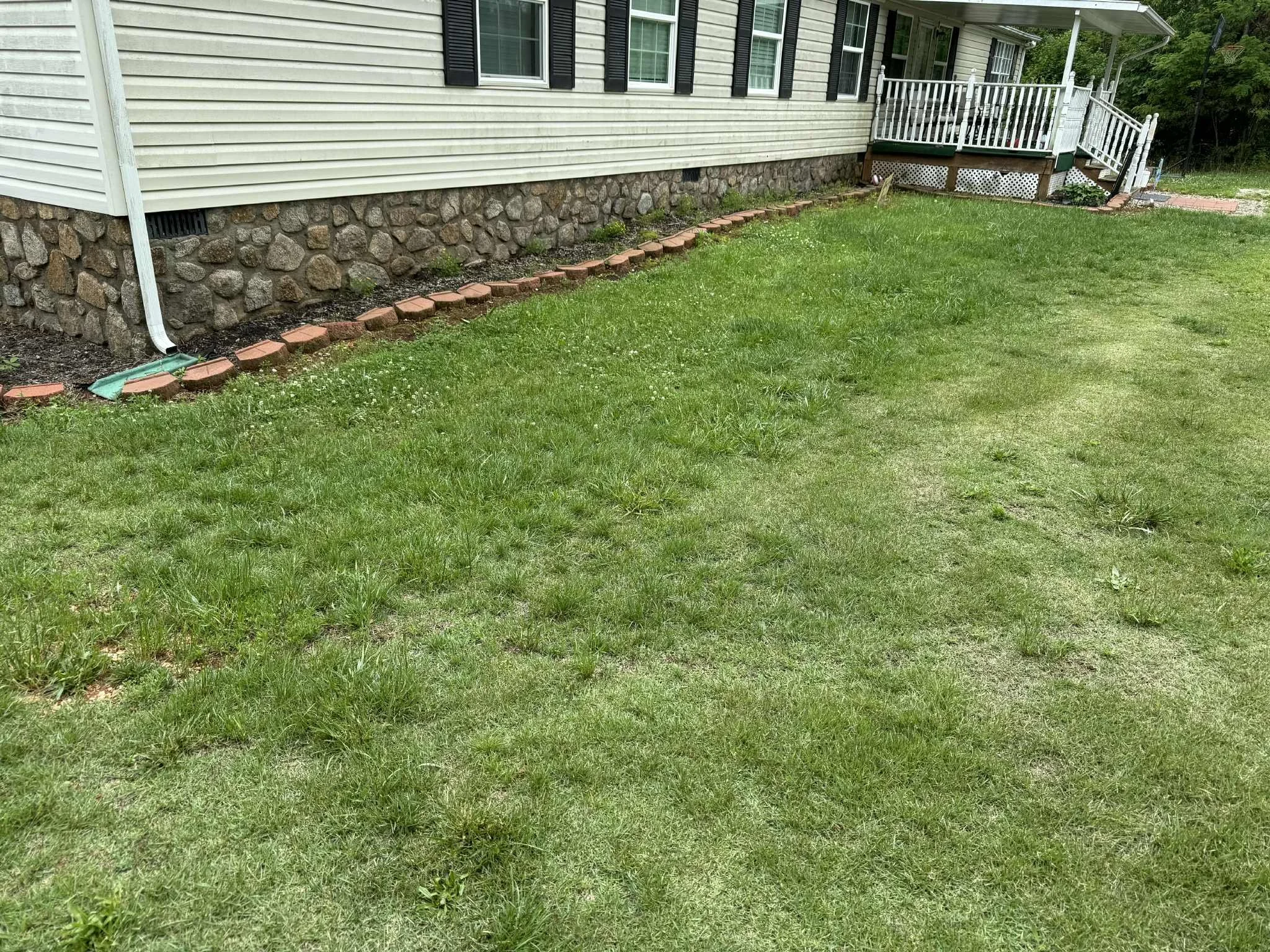 f769be0c-7e53-4e61-96d5-161388814f5f.jpg