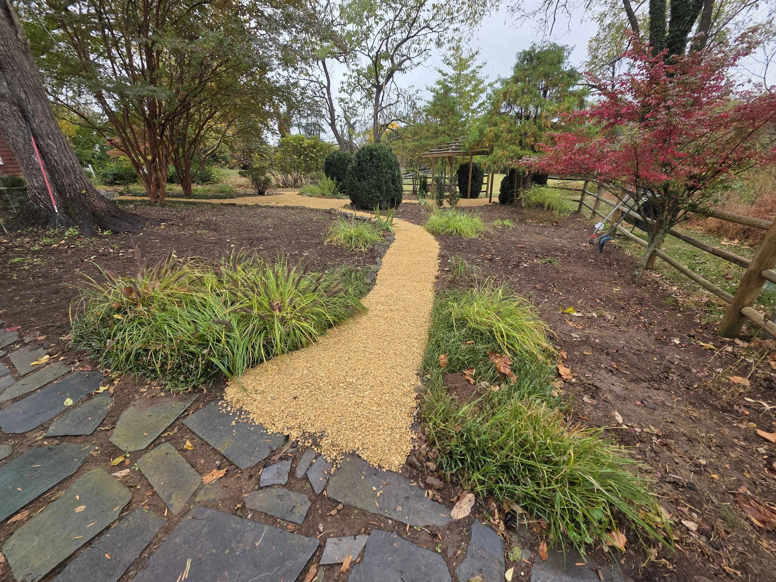 A garden path lined with plants and trees with a wooden fence on the right side and a mature tree on the left, with a gravel surface and stepping stones