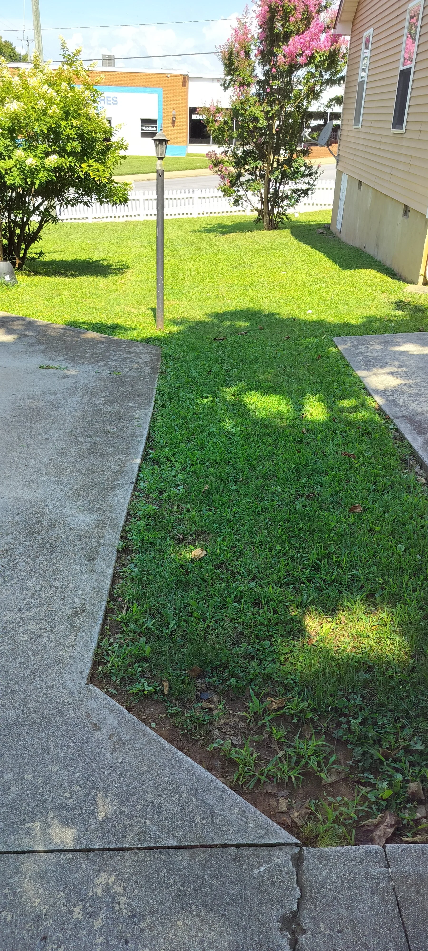 IMG20250815115638.jpg