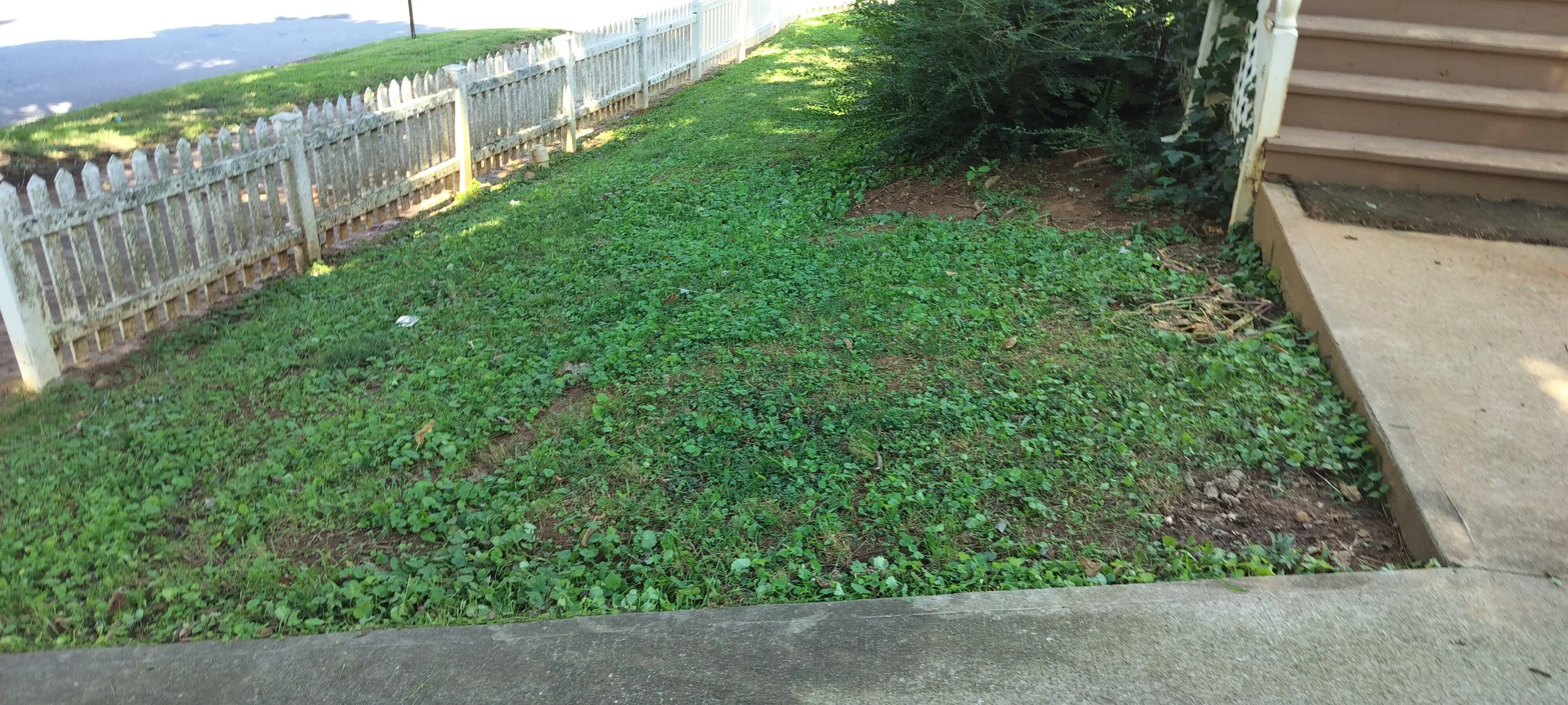 IMG20250815115652.jpg