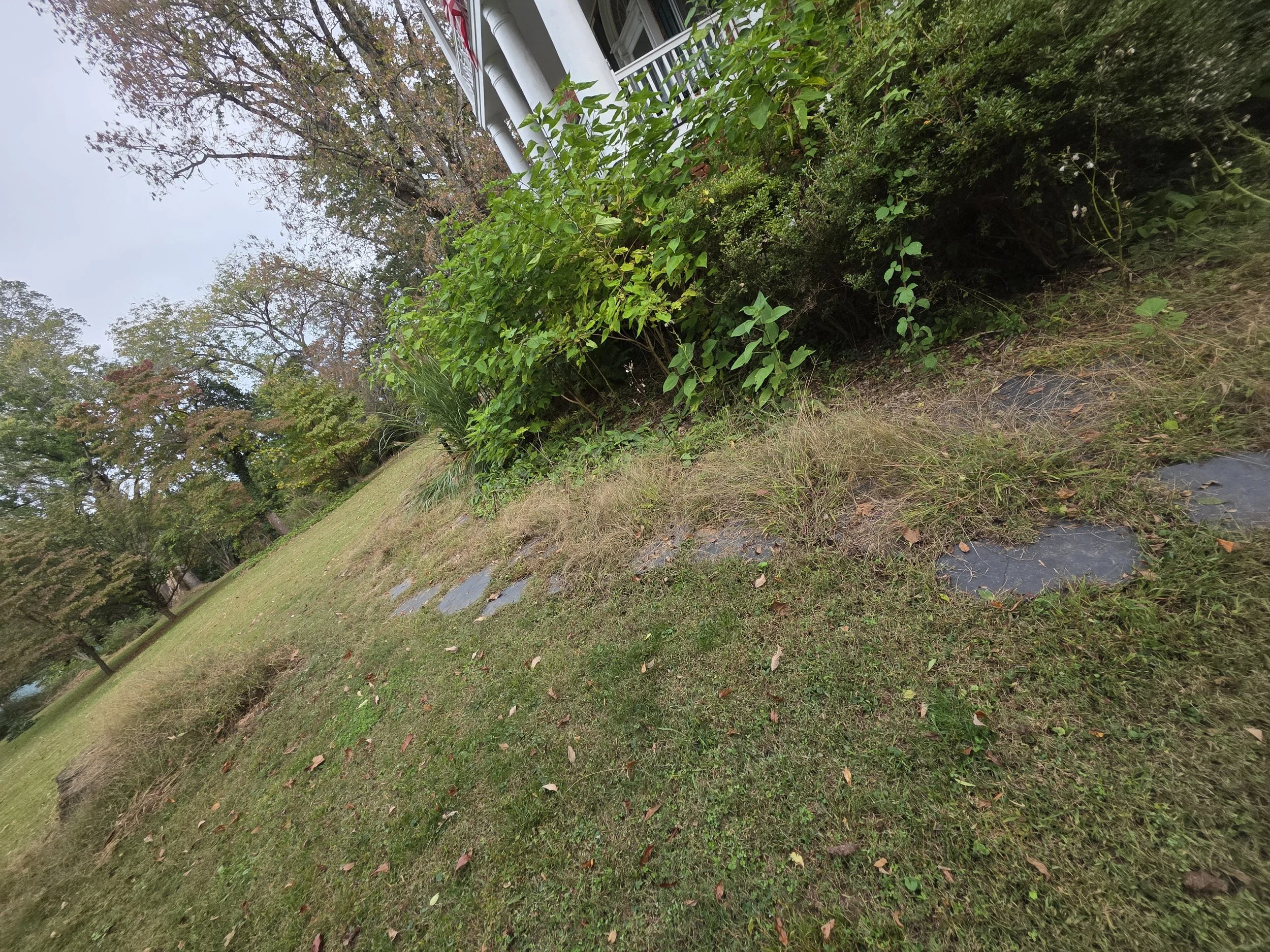 The overgrown grassy slope at the Gardens at Edgewood before the historic flagstone path was uncovered and restored.