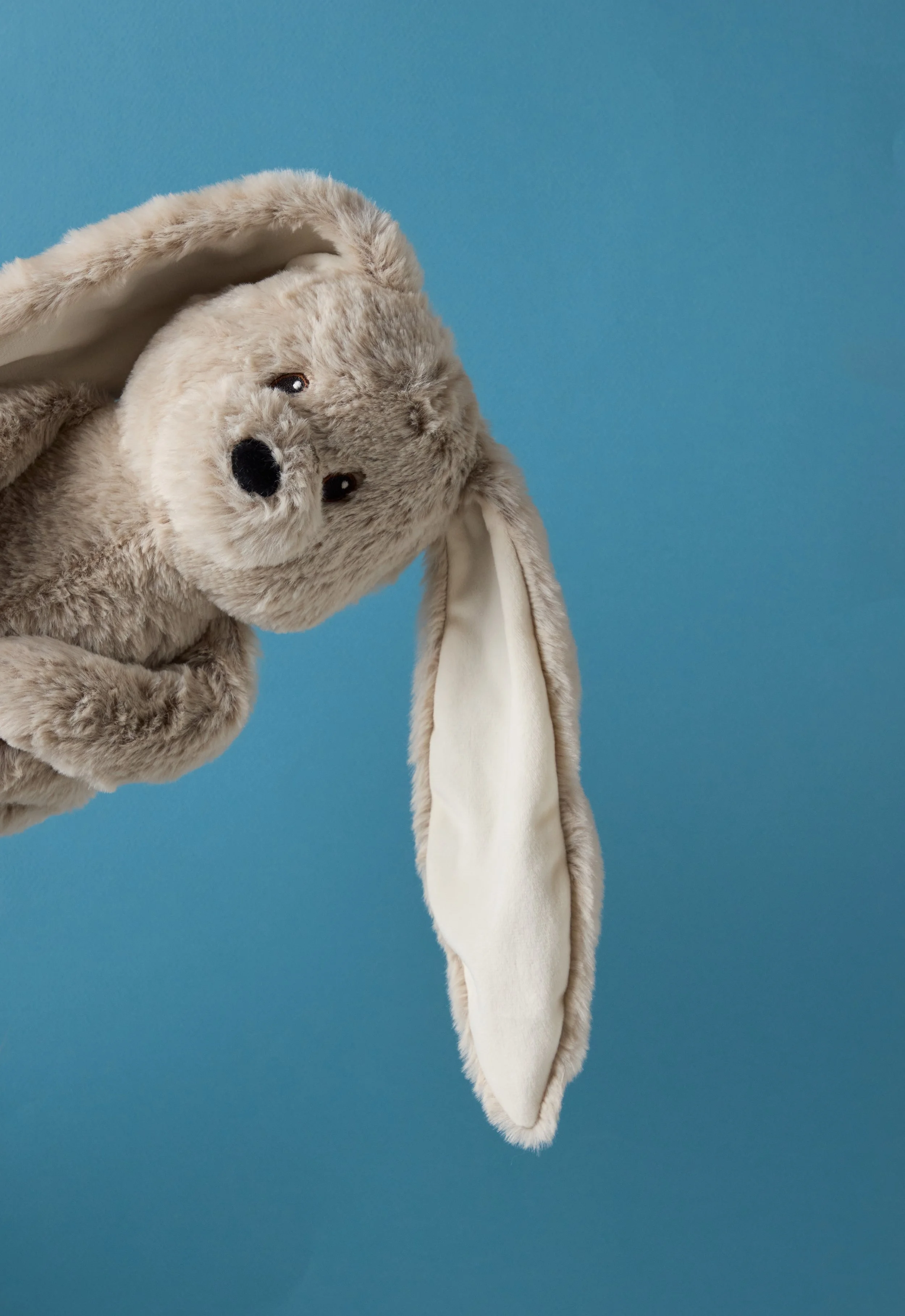 DanDee Website Lifestyles July 20256112.jpg