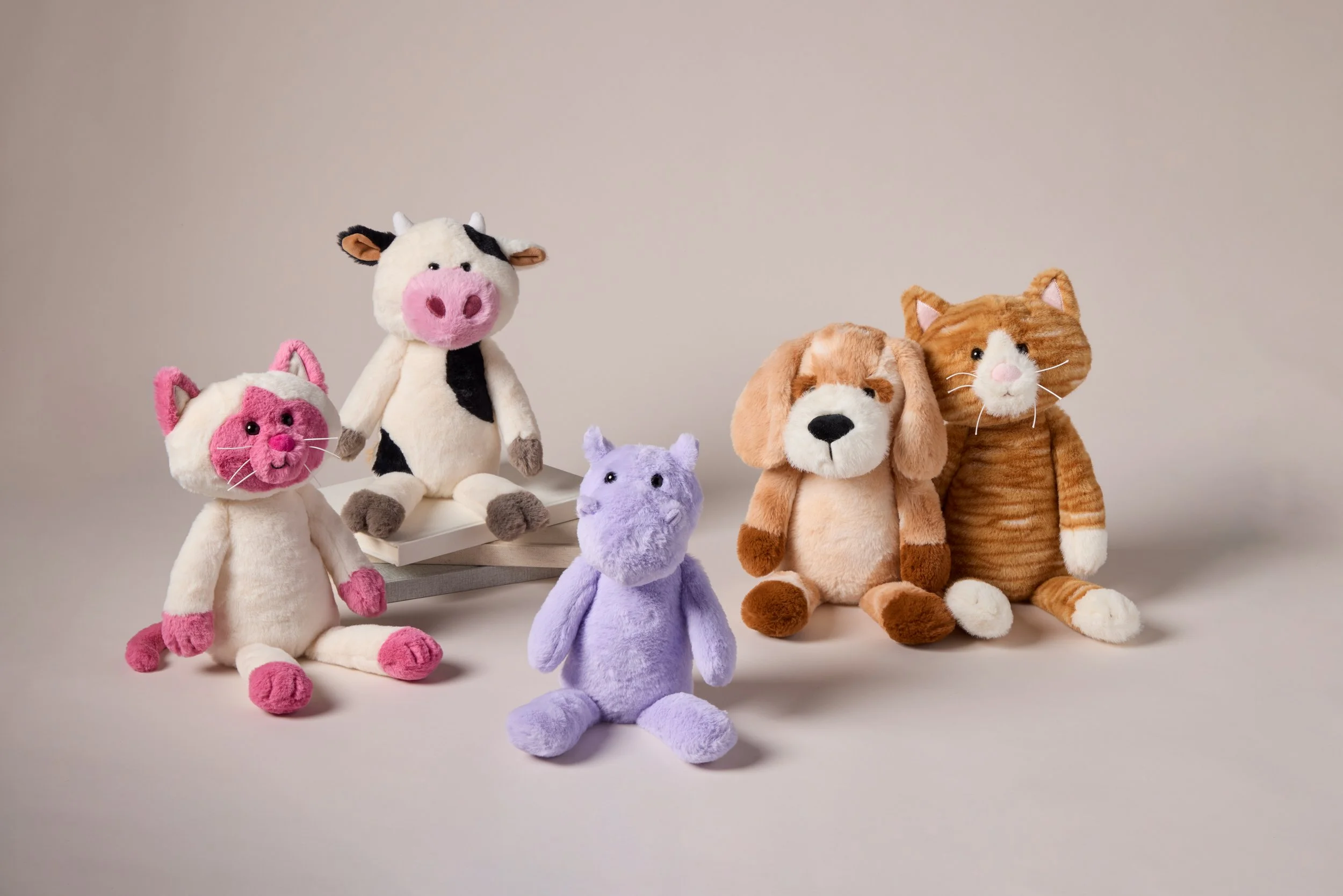 DanDee Website Lifestyles July 20256621.jpeg