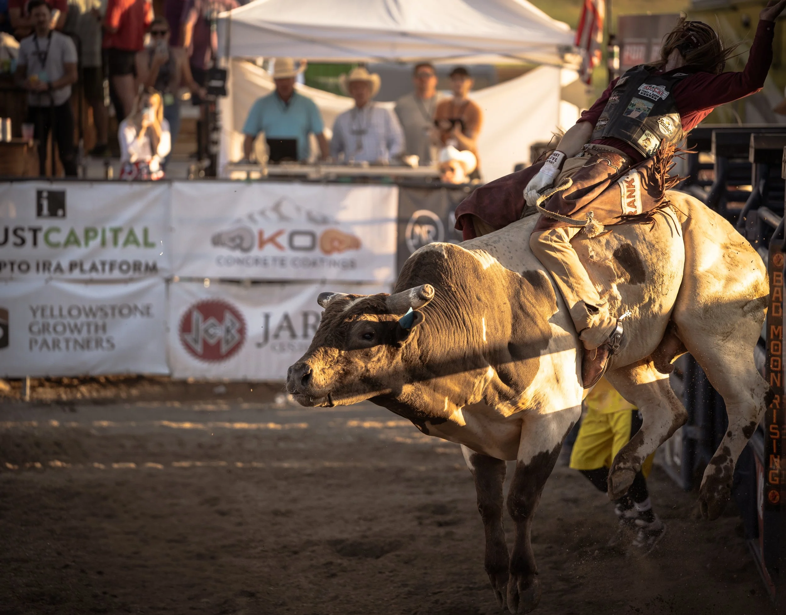 A rodeo cowboy riding a bucking steer during a rodeo event, with spectators watching in the background.
