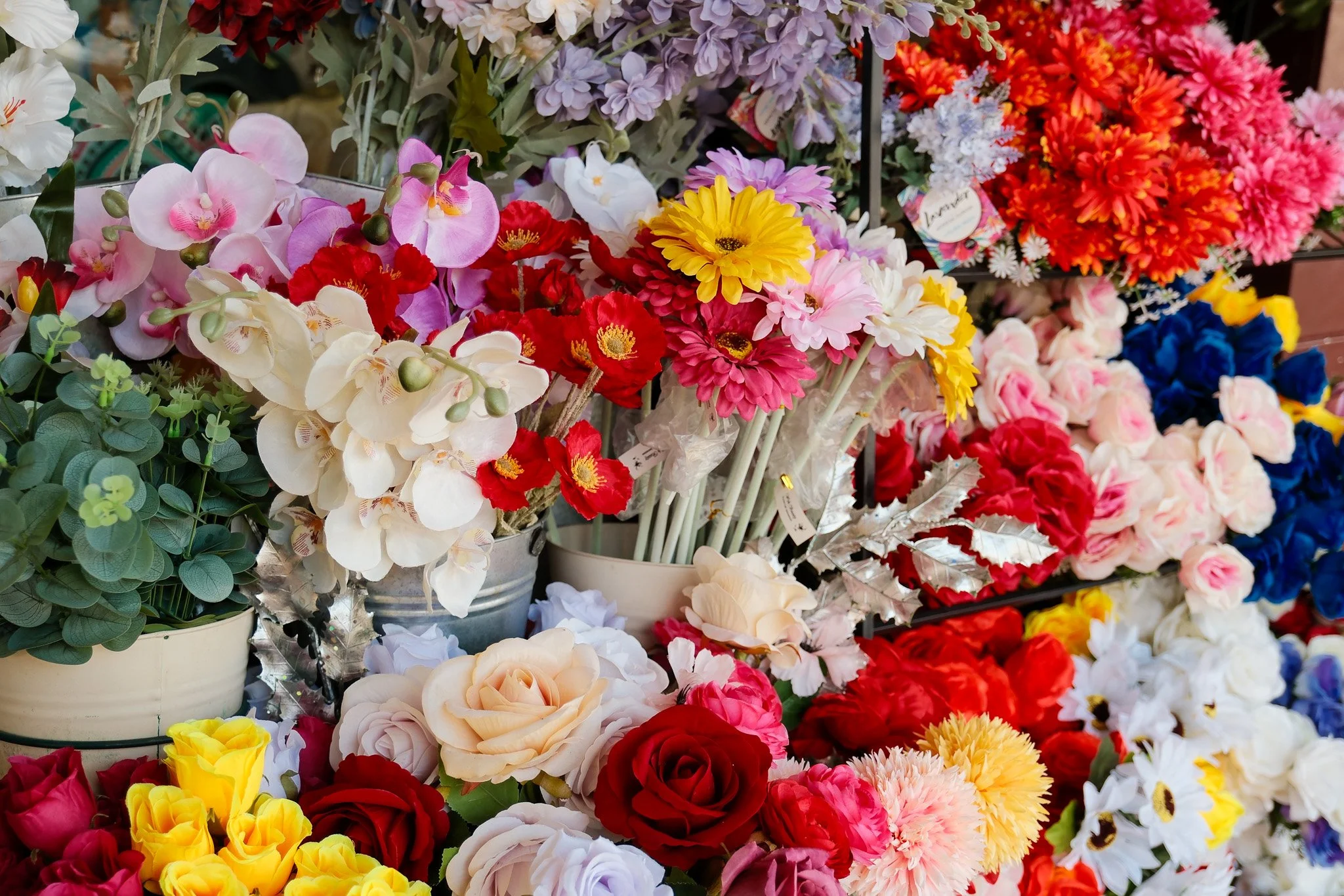 2026-02-25 Galvin's Variety - Meg Hollins (6).jpg