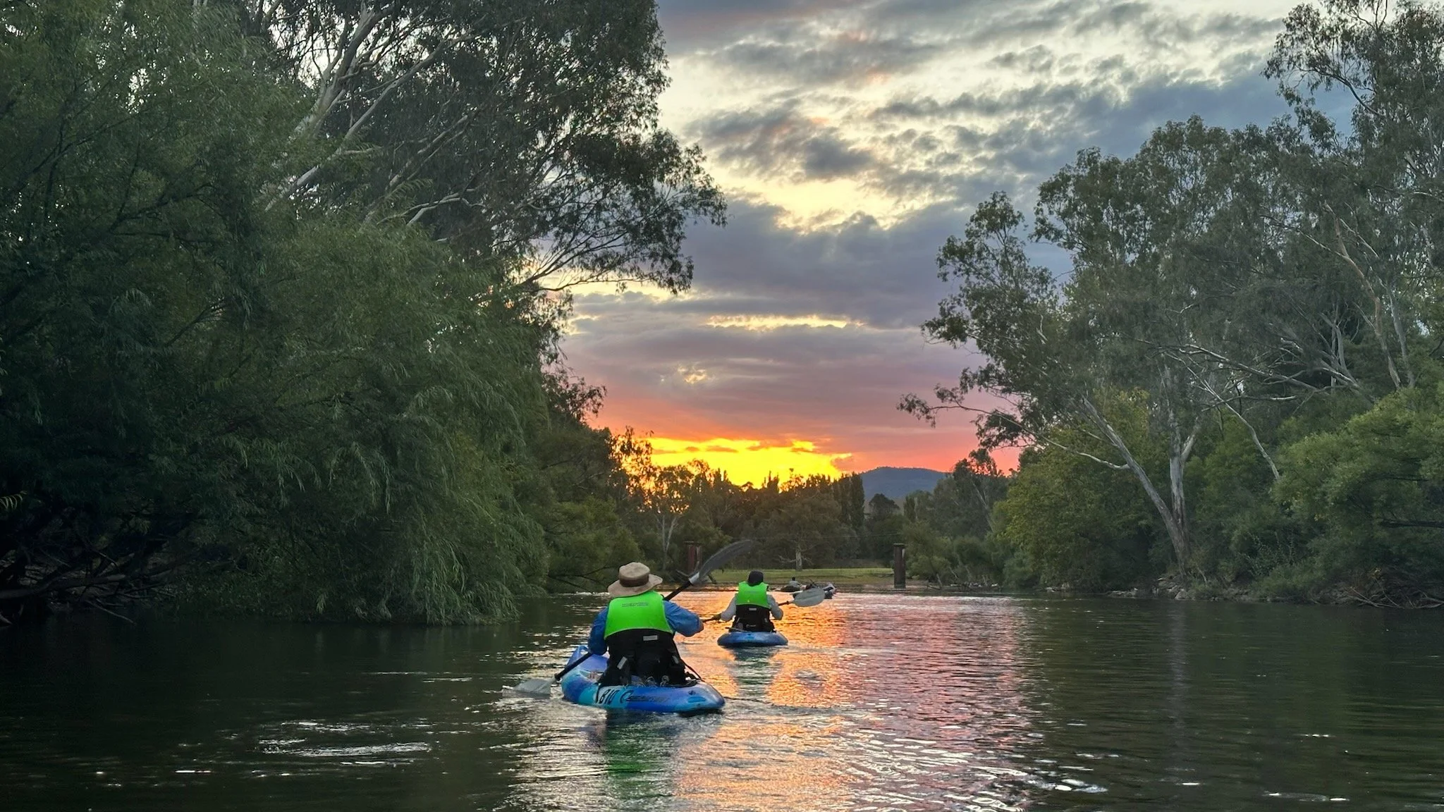 Murrumbidgee Valley National Park — Visit Narrandera