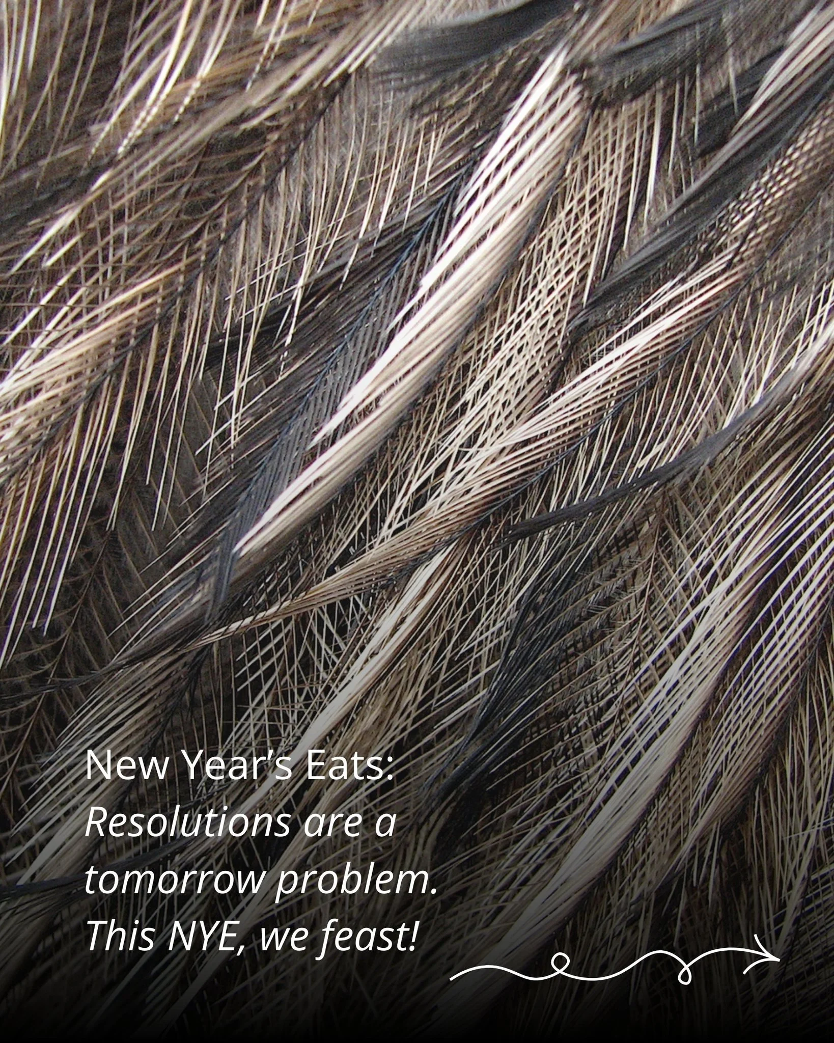 🍔🍦🤤 From Emu steak burgers and saffron-slick paella to late-night bites and dessert before midnight, NYE in Narrandera is worth planning your appetite around

🎆 Retro Rewind: Countdown to 2026
⏰ 31 December 6pm
📍 Narrandera Showgrounds

Resoluti