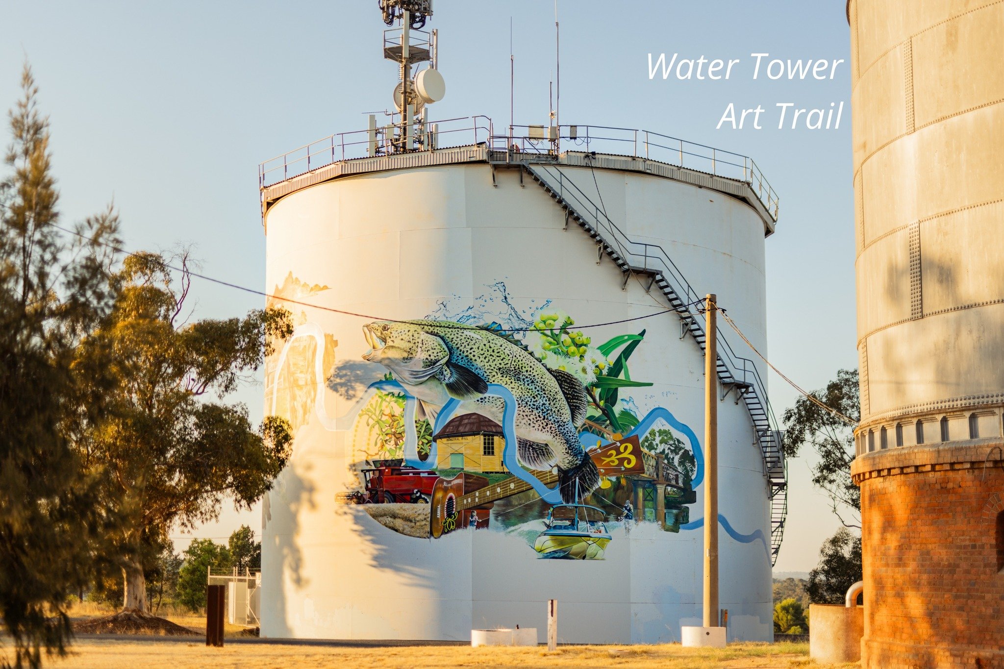 ✨ Where our skyline meets our story 📍 Narrandera Water Tower

&bull;&bull;&bull;
#Narrandera #Mural #WaterTower #Art #VisitRiverina