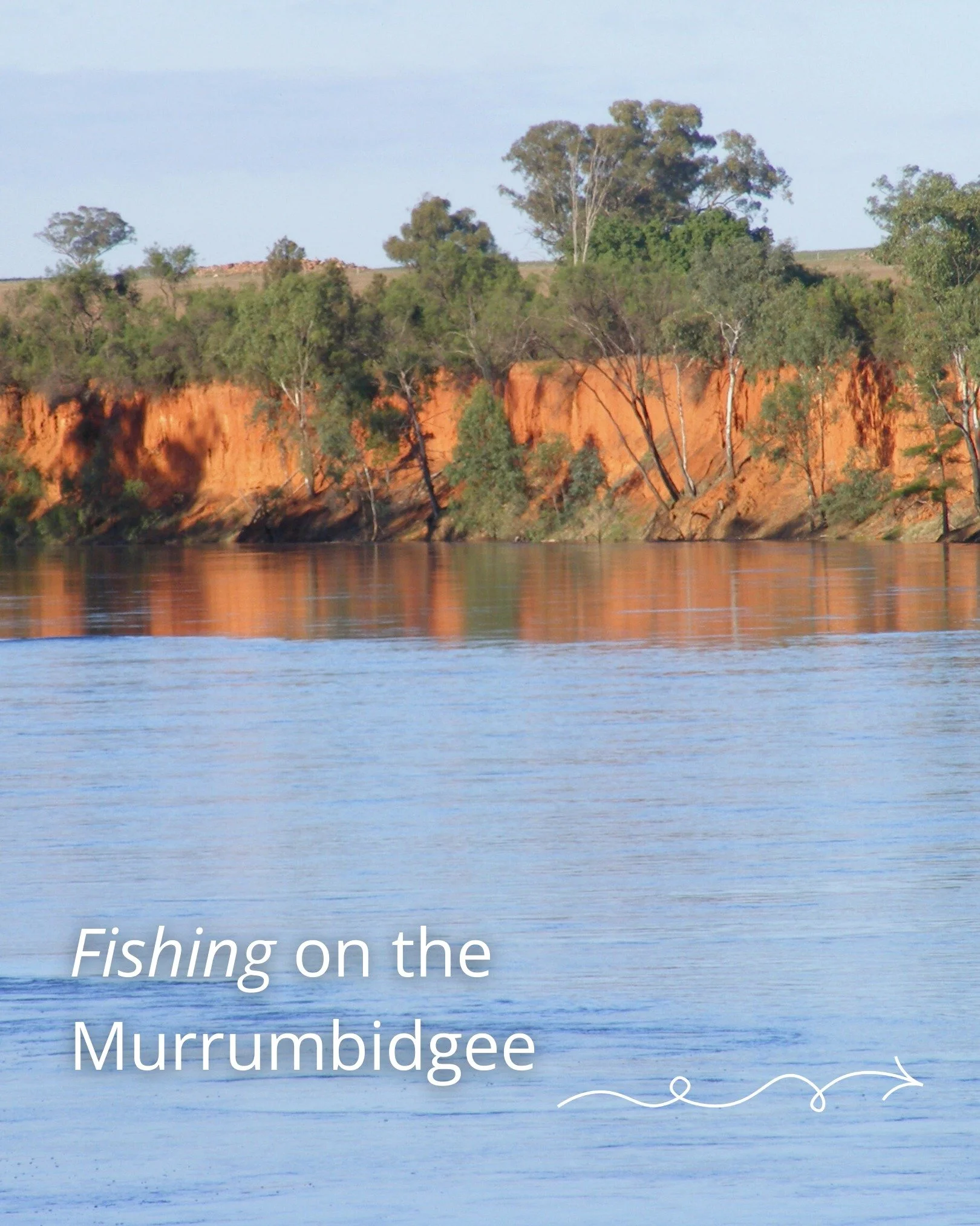 Hot tip: If you&rsquo;re chasing classic inland river fishing, you&rsquo;ll want to be in Narrandera 🪝☀️ big bends, big gums, and bloody good fishing. Our full guide is out now 👉 narrandera.com.au (link in bio)

&bull;&bull;&bull;
#Fishing #Murrumb