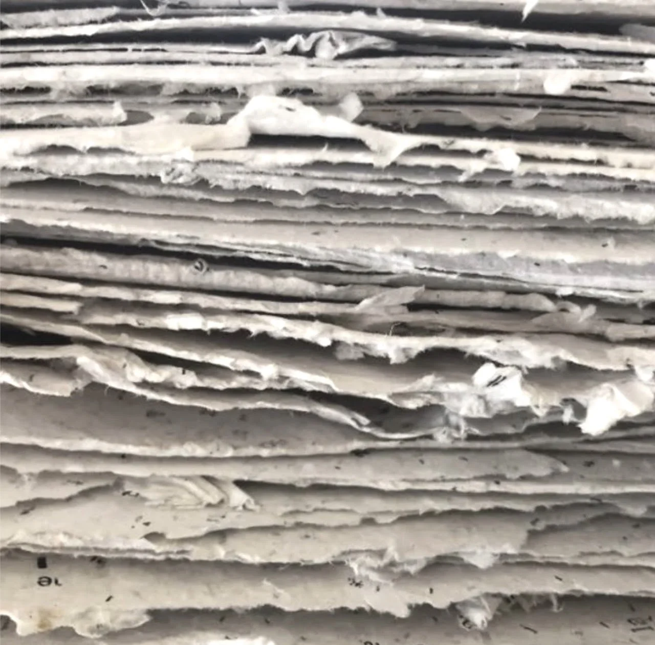 Paper Making Workshop with Em Shannon