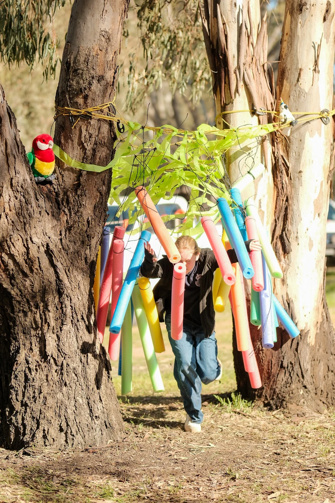 2025-09-20 Koala Festival - Meg Hollins-089.jpg