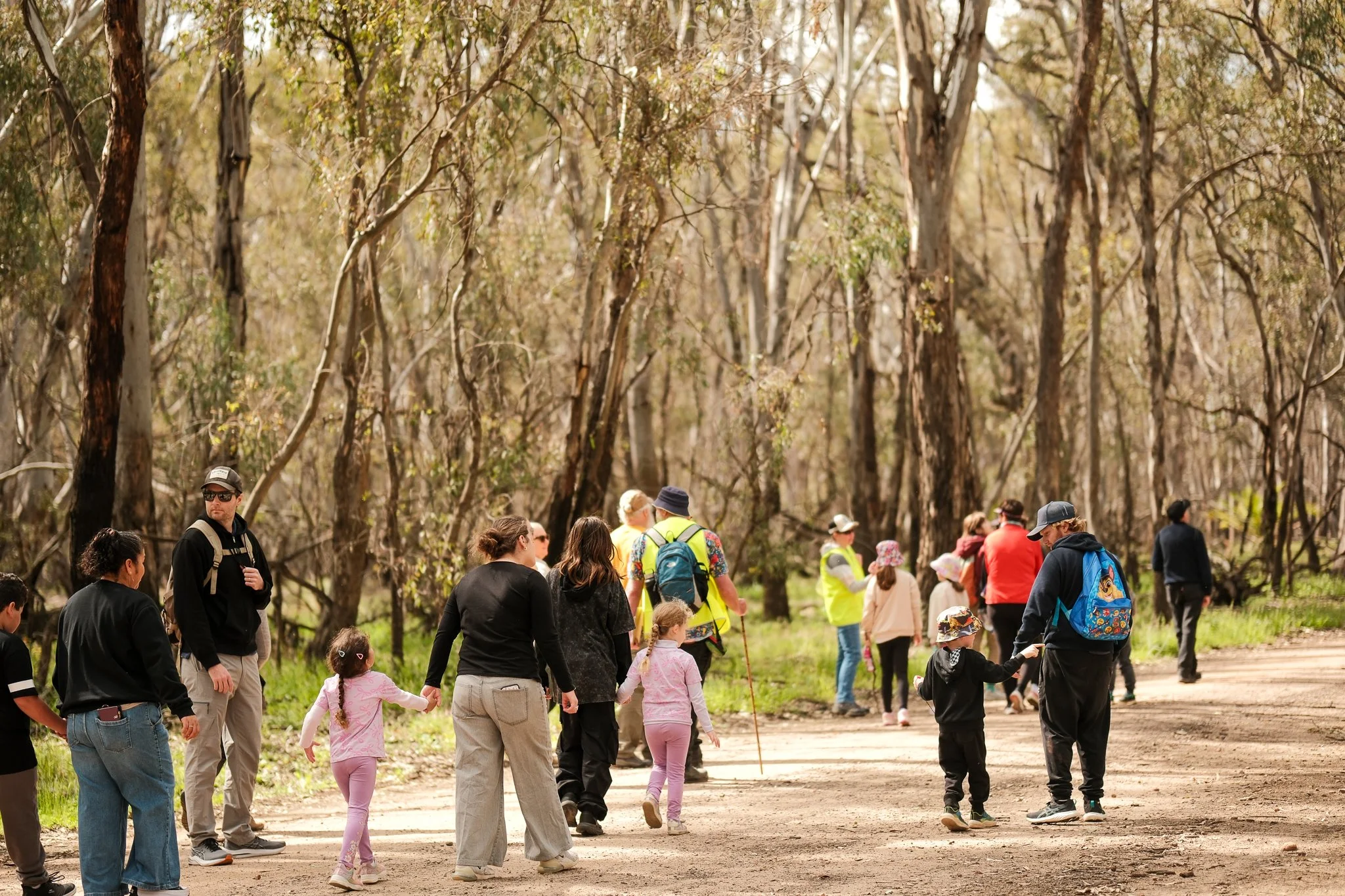 2025-09-21 Koala Count - Meg Hollins-028.jpg