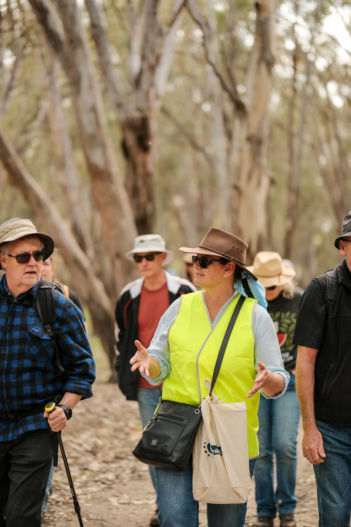2025-09-21 Koala Count - Meg Hollins-032.jpg