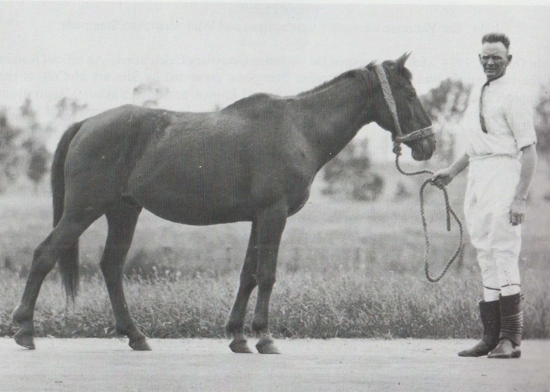 Unveiling of plaque for 'Rocky Ned'