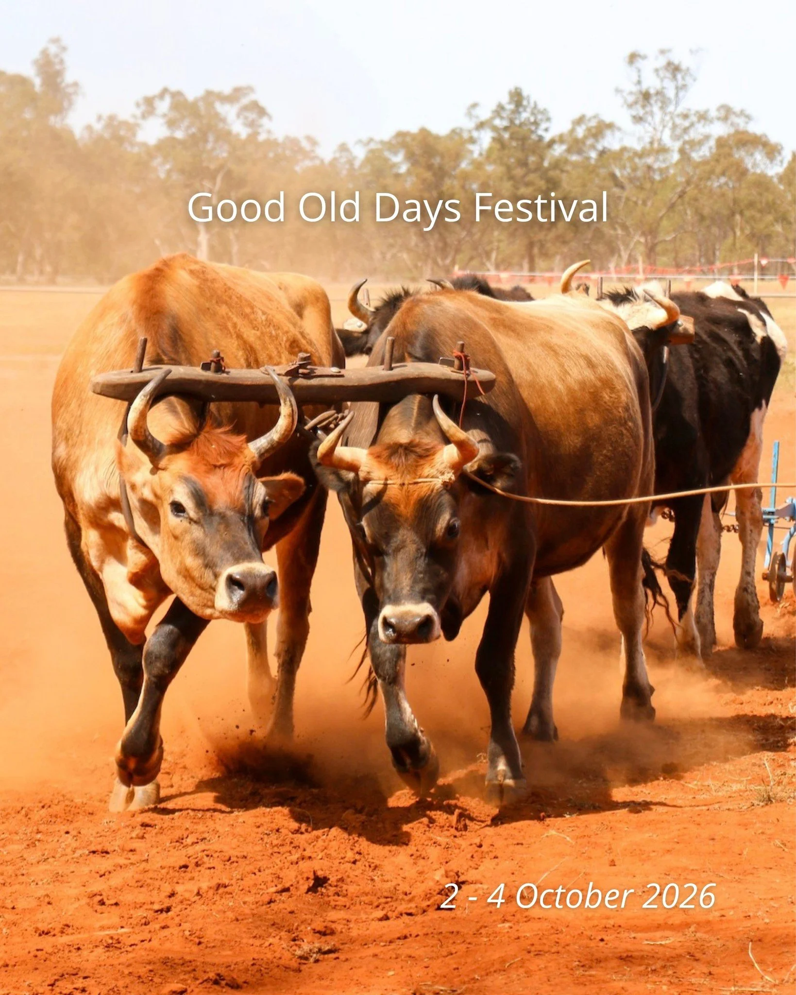 Coachella who? 🌵😜 Tickets are OPEN for the Good Old Days Festival on October 2 - 4. 

Dust on your boots, big Riverina skies overhead, and the sound of hooves and live music drifting across Barellan. It's a weekend in regional NSW that feels like a