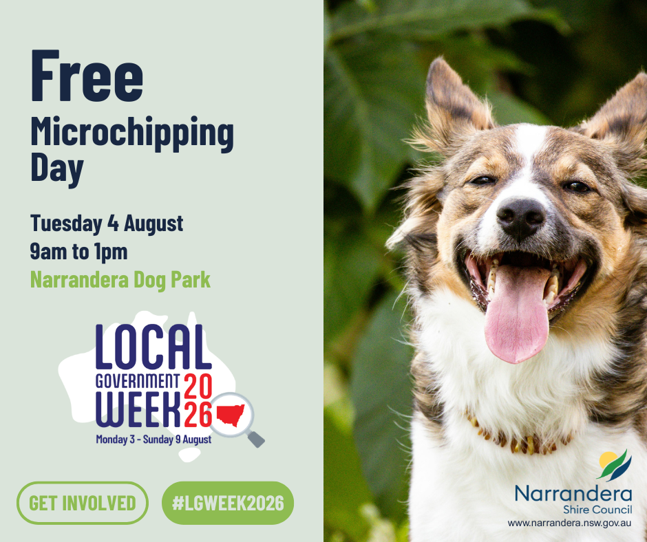 Free Microchipping Day