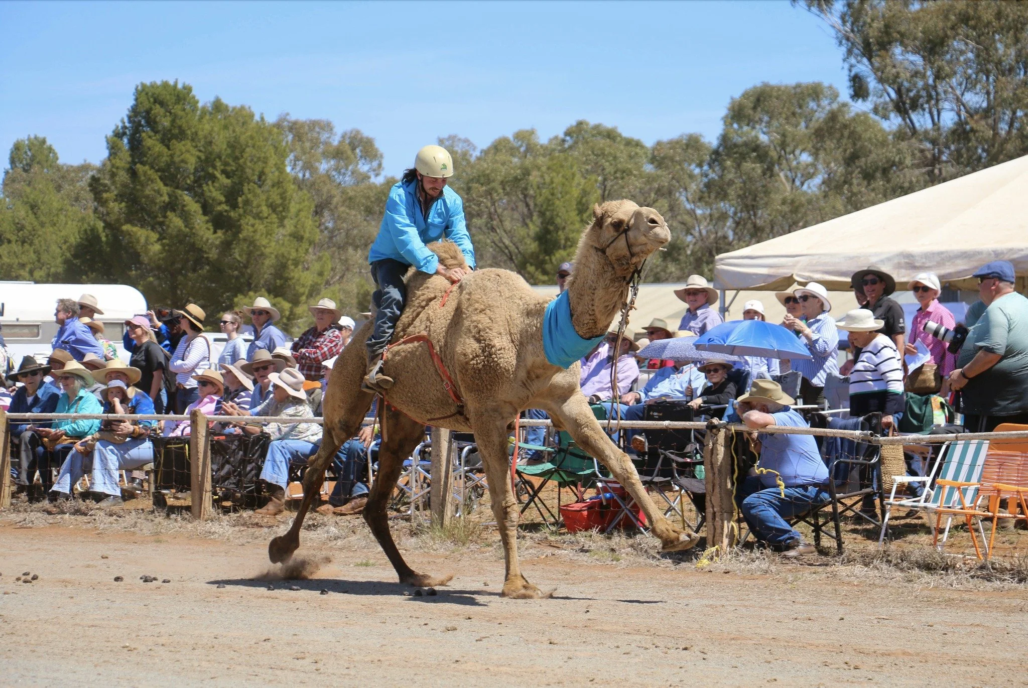3-10-2025 - Barellan Good Old Days - Facebook  (11).jpg