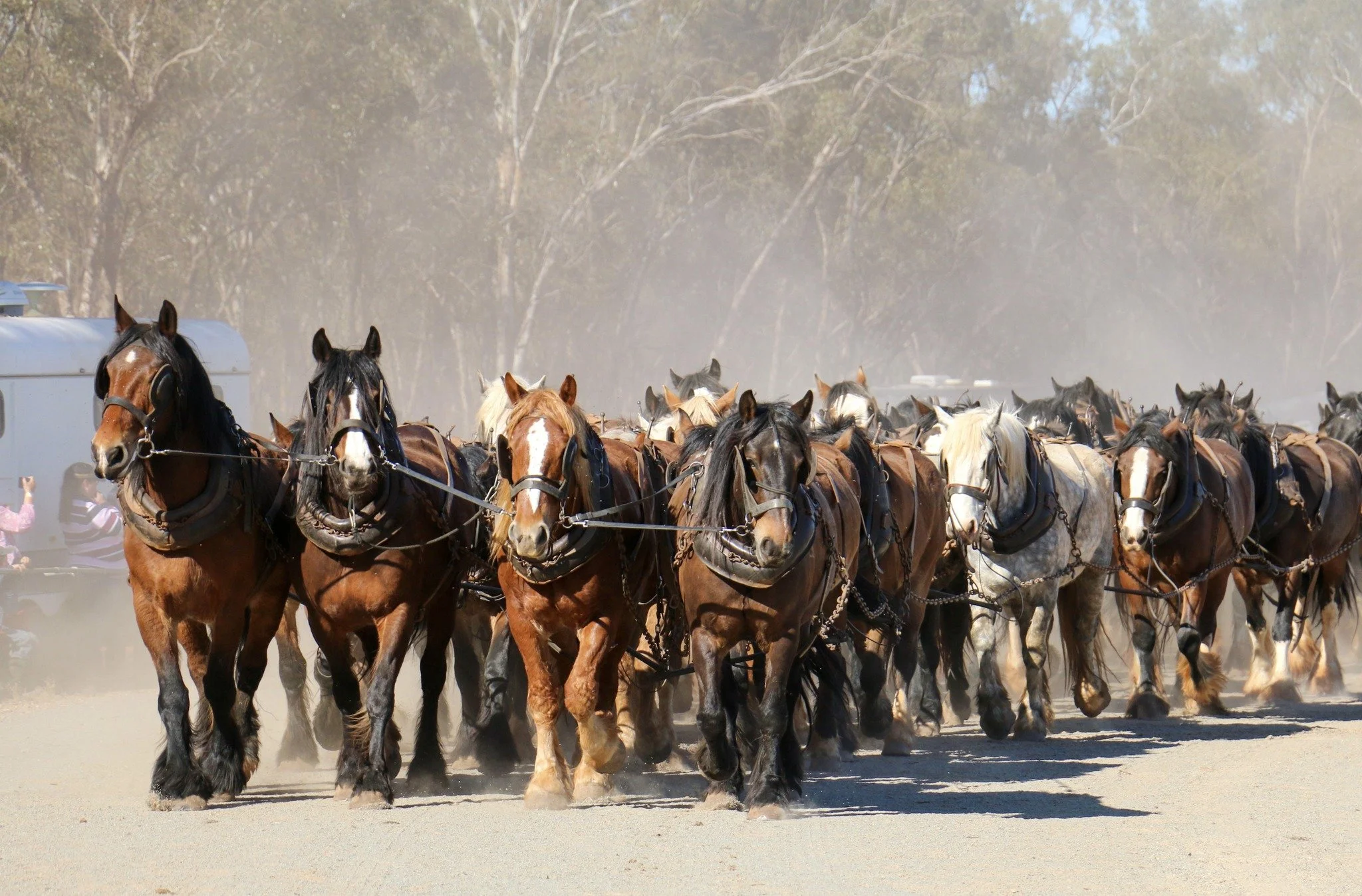 3-10-2025 - Barellan Good Old Days - Facebook  (12).jpg