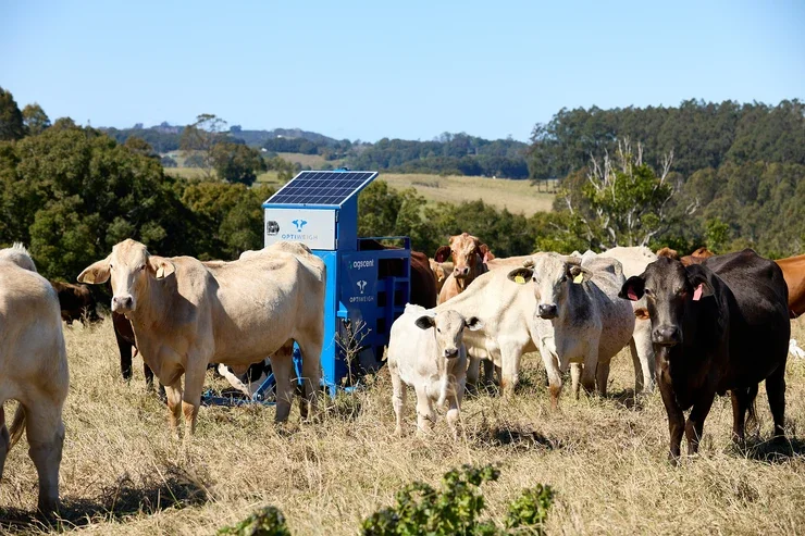 Yanco Agtech Discovery Day