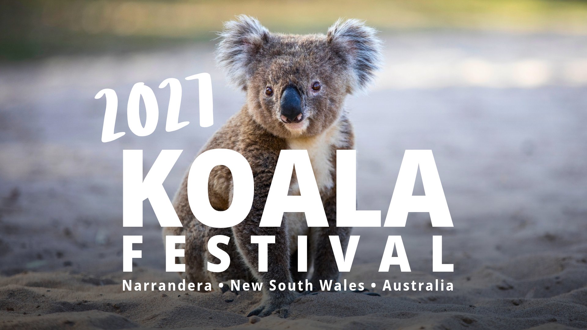 Koala Festival 2027