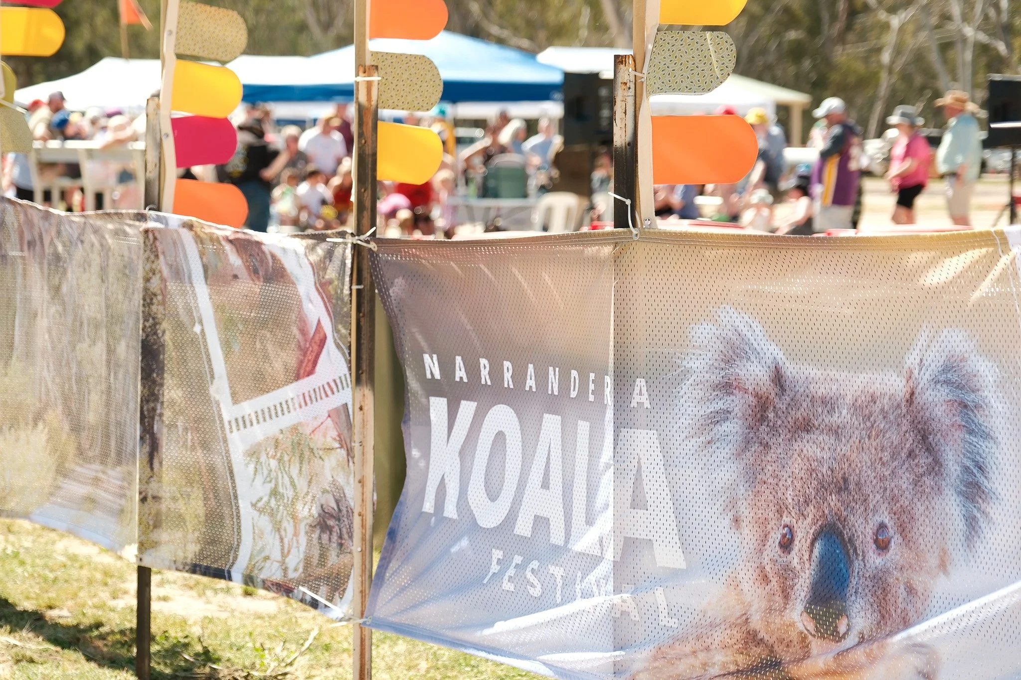 2026-09-19 Koala Festival - Meg Hollins (49).jpg