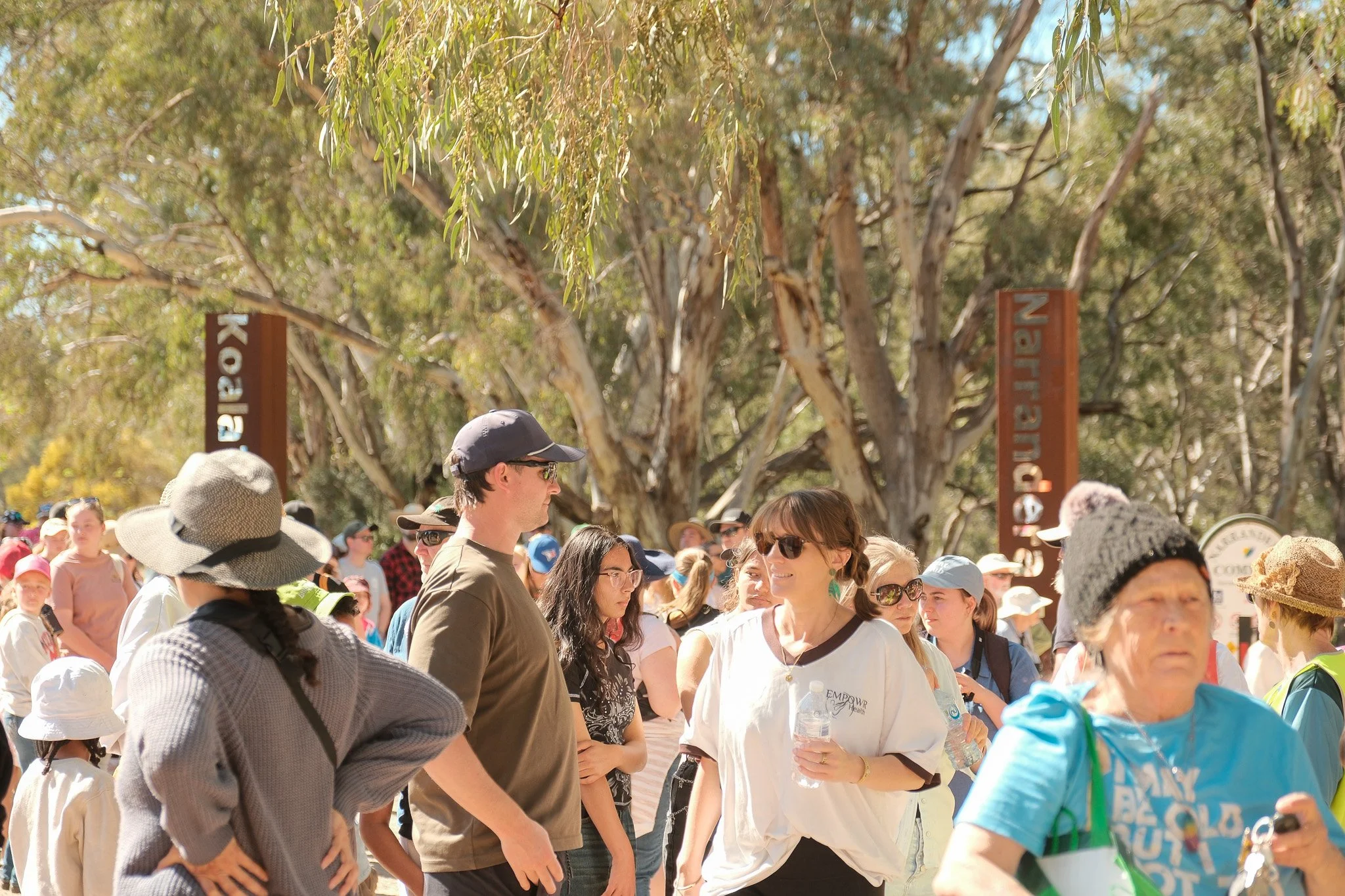 2026-09-20 Koala Count - Meg Hollins (24).jpg
