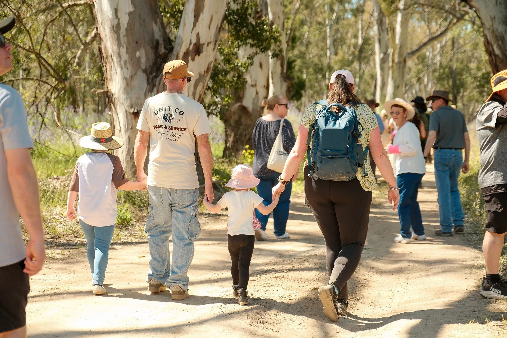 2026-09-20 Koala Count - Meg Hollins (81).jpg