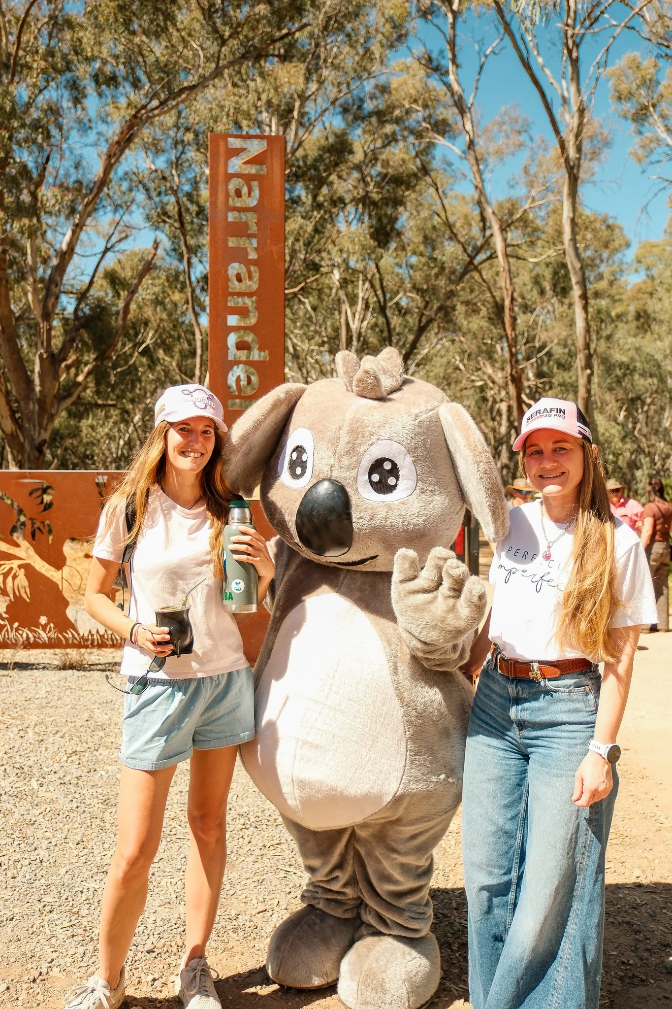 2026-09-20 Koala Count - Meg Hollins (102).jpg