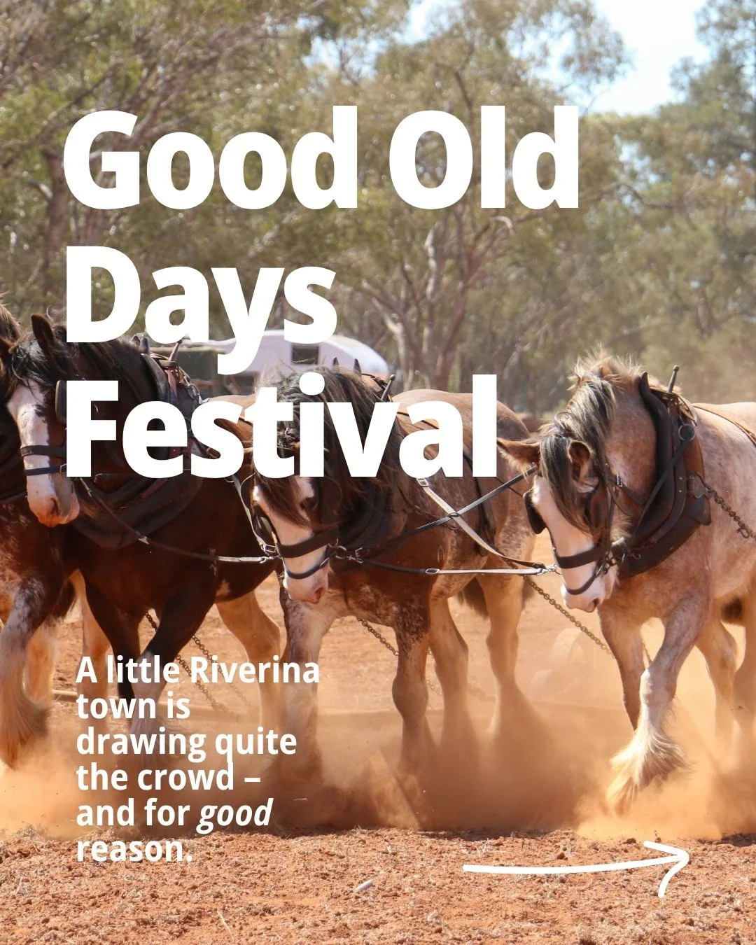 the good old days festival has a moustache competition so technically dad's been preparing for months 🥸

good old days festival 
2-4 october 2026
barellan, nsw

🎟️ gate entry tickets are: $30 adults per day, seniors' card and concessions $25, and c