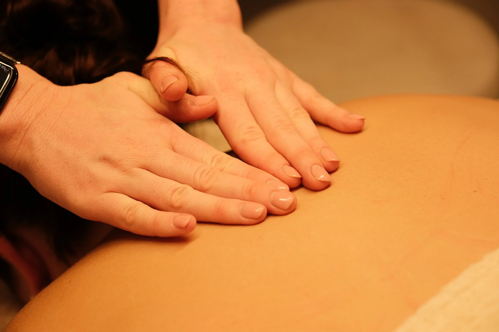 2026-02-25 Original Skin - Meg Hollins (3).jpg