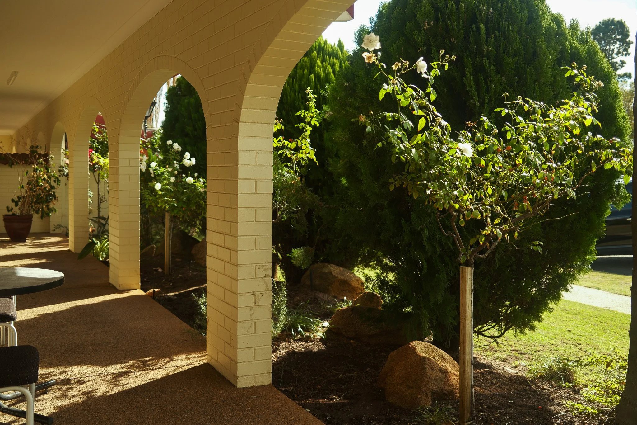 2025-05-05 Narrandera Club Motor Inn - Meg Hollins (2).jpg