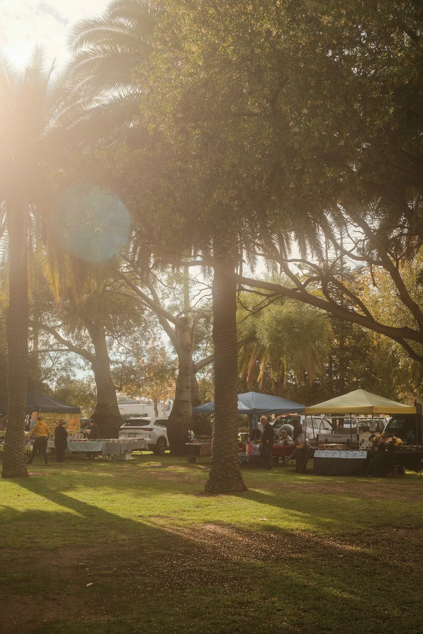 2025-05-18 Lions Community Markets - Meg Hollins (9).jpg