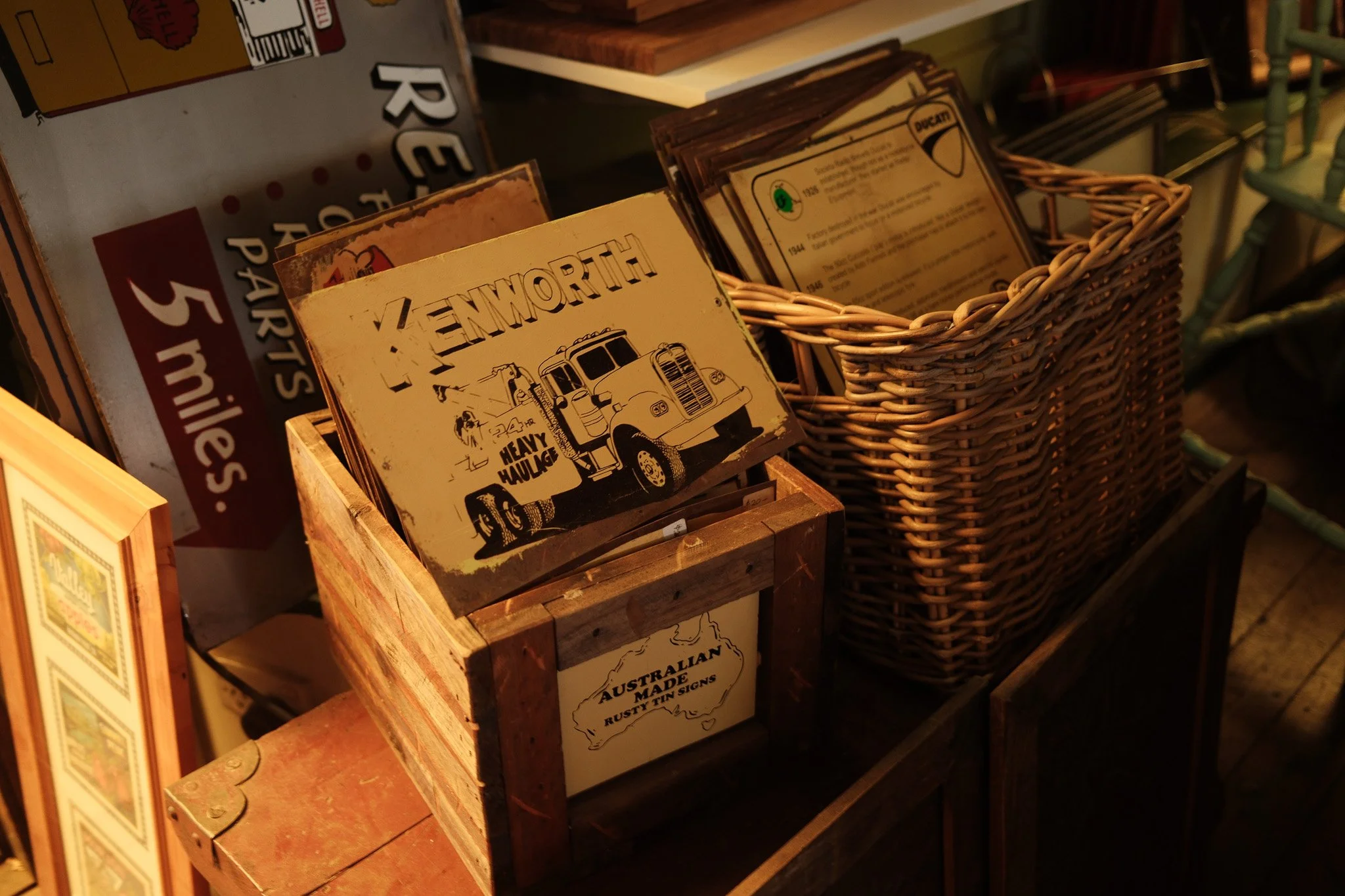 2025-03-29 Mon Repos (2) - Meg Hollins.jpg