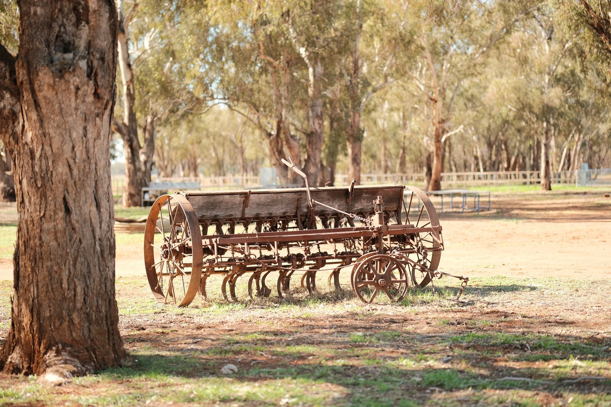 Barellan Showgrounds — Visit Narrandera
