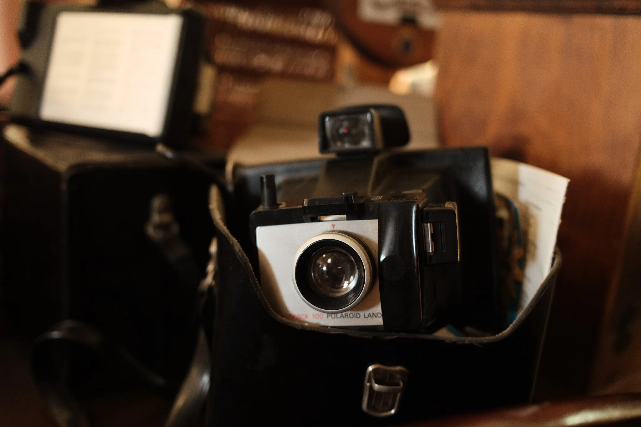 2025-03-29 Mon Repos (6) - Meg Hollins.jpg