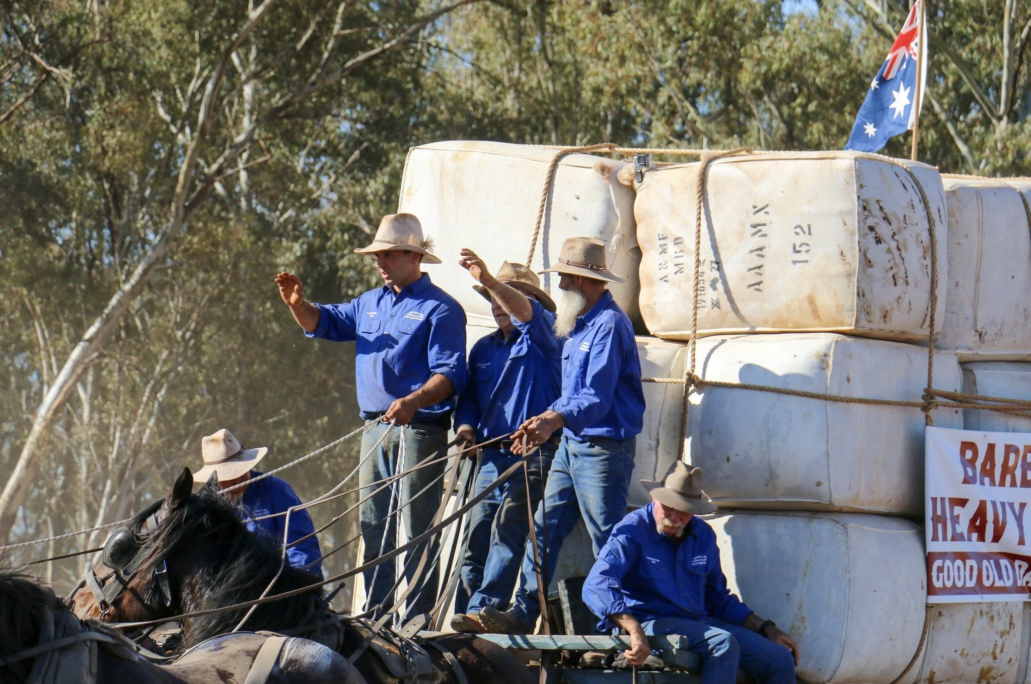 Horses pulling an old wool wagon at the Barellan Good Old Days Festival