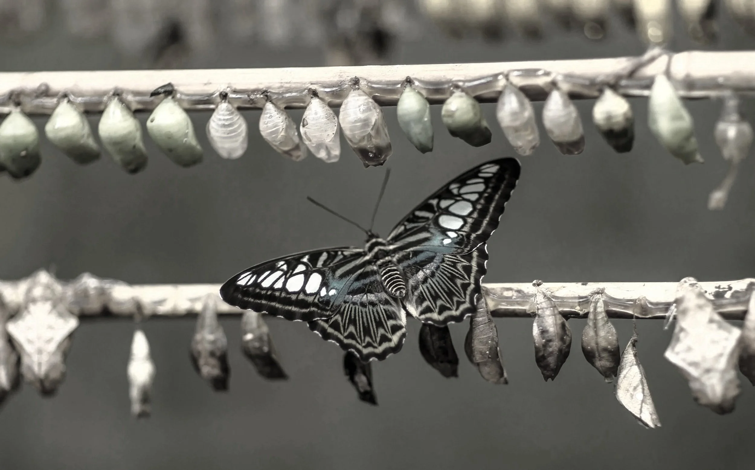 Transform to capture opportunities and reach your potential.