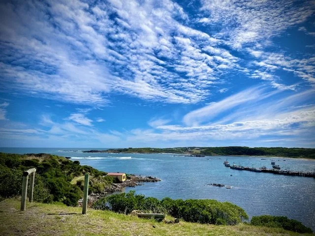 the port, currie.jpeg