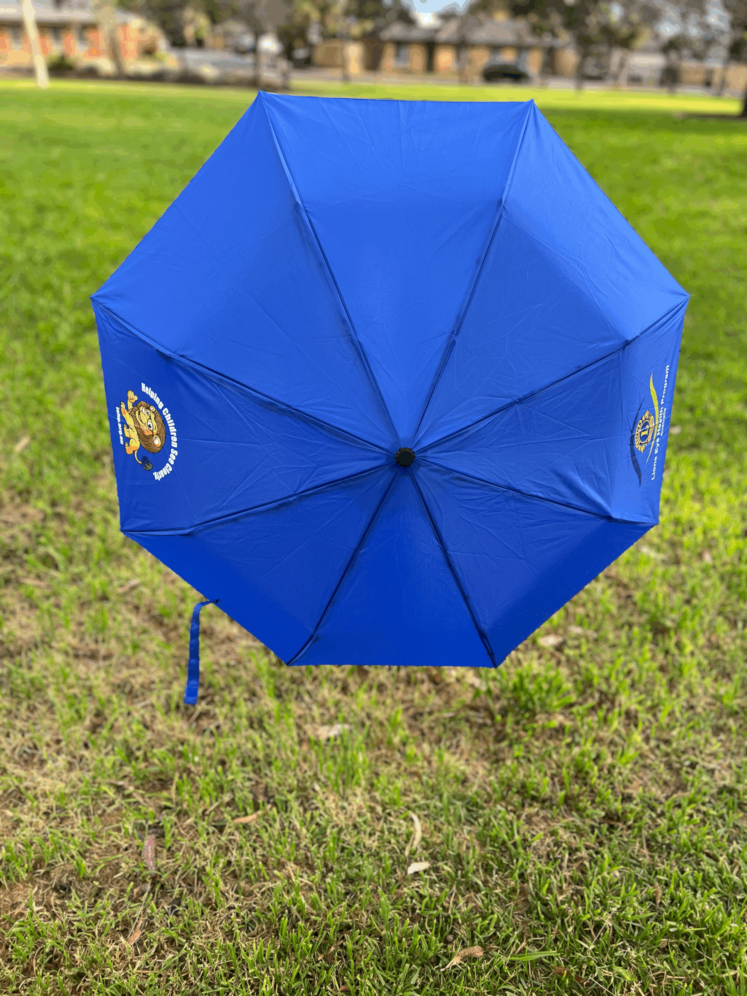 Compact Folding Umbrella