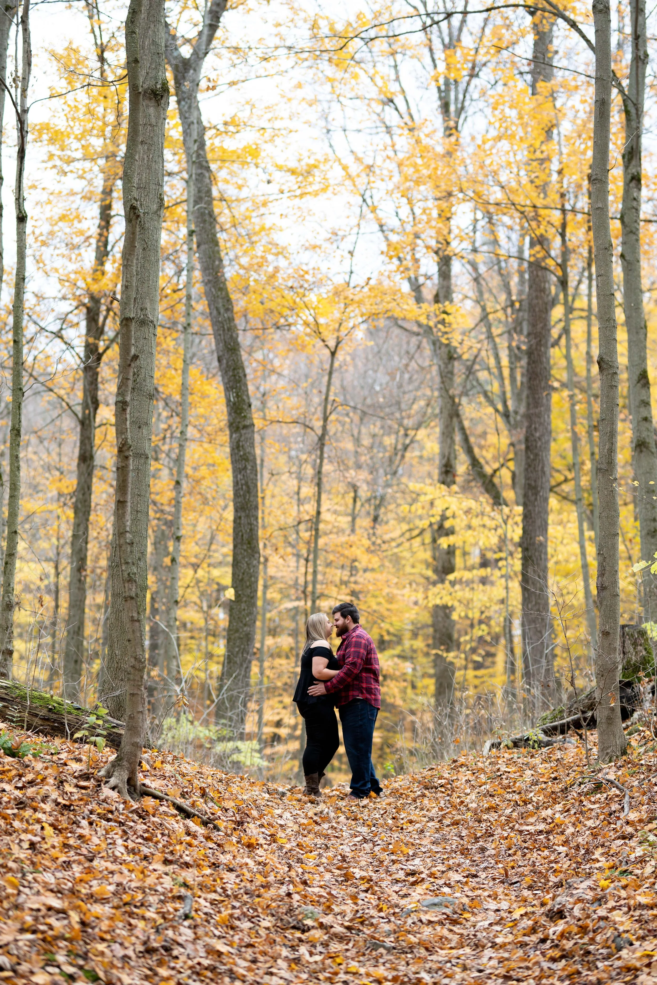 Dryden tract warm-up hill in autumn.jpg