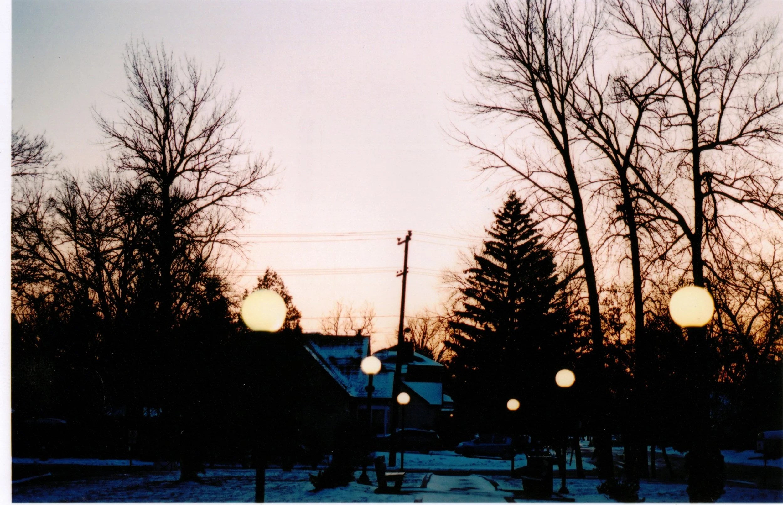 A view of leafless trees against a pinkish-purple sunset sky in a park or neighborhood, with glowing round streetlights illuminating an area with snow-covered ground and some houses in the distance.