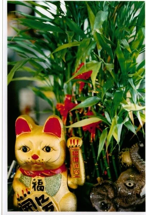 A golden Japanese lucky cat figurine with black eyes, red ears, and a red collar, holding a gold coin with Japanese characters, placed in front of green bamboo plants with red flowers, and a small stone sculpture.