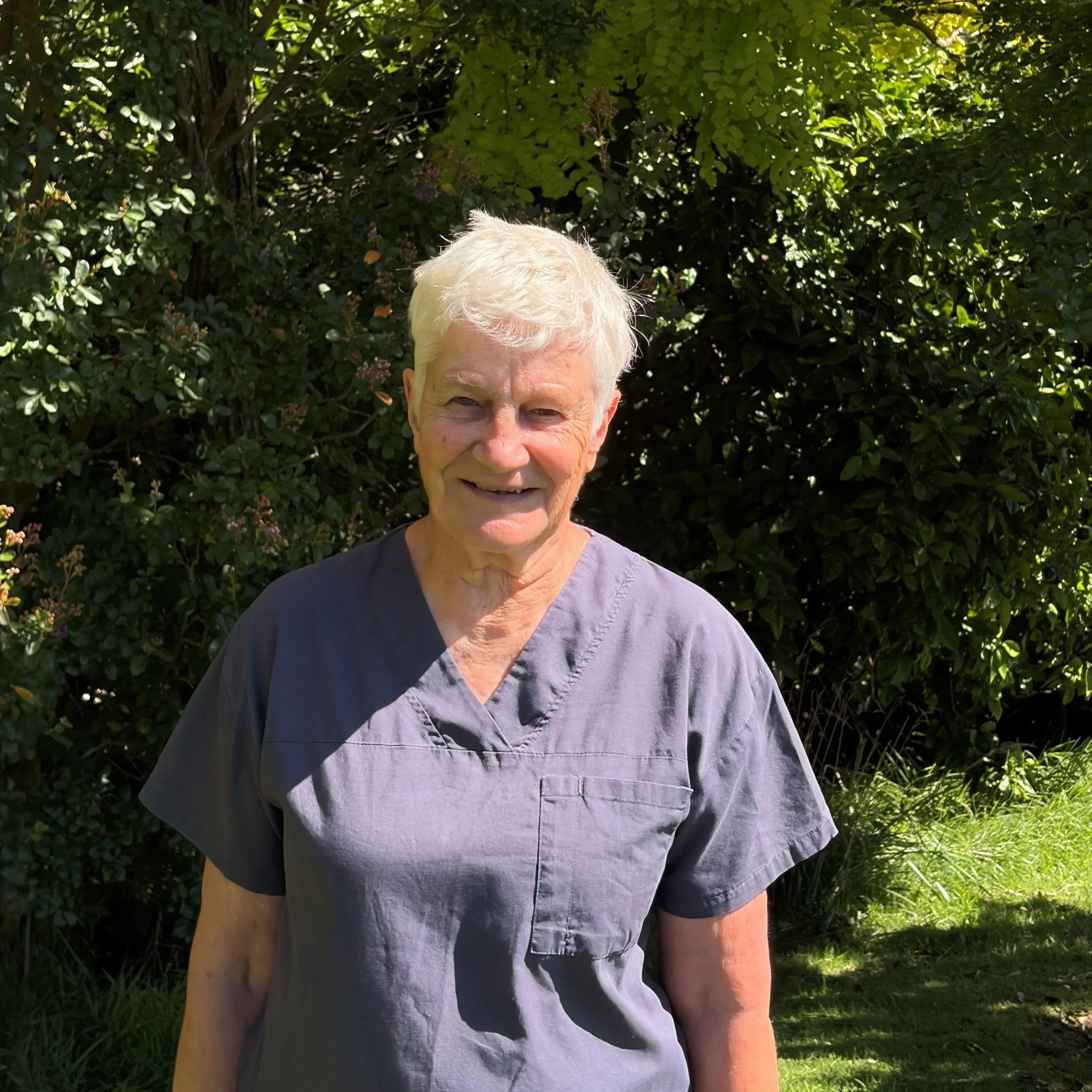 The Te Wairoa Medical Centre logo - based on the patiki.