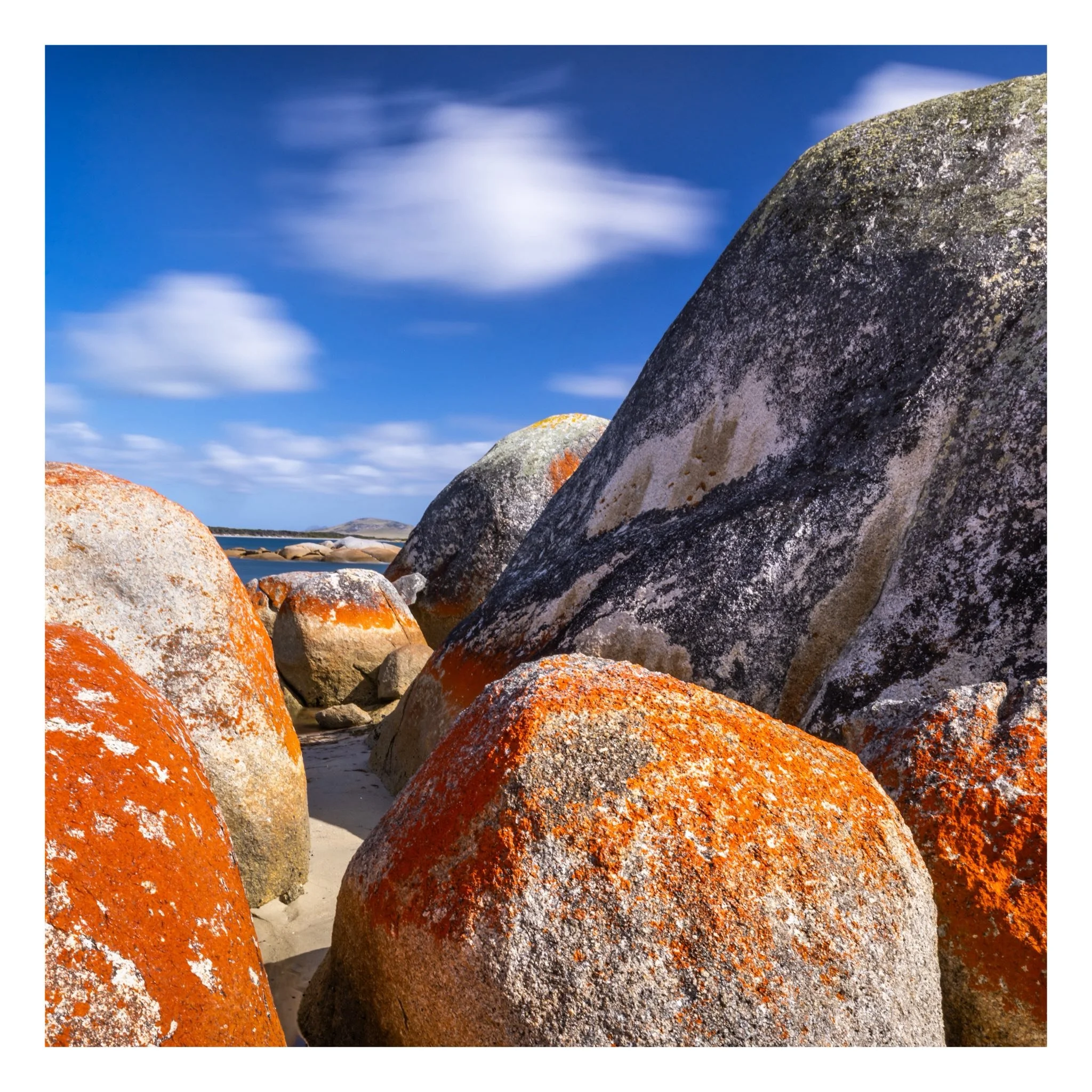 flinderstitle.jpeg
