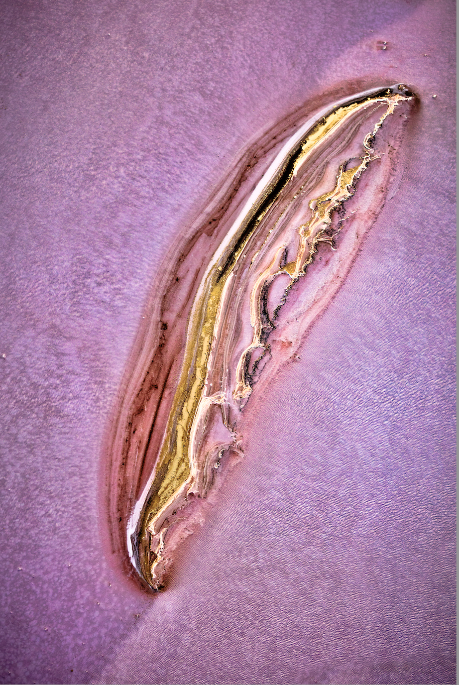 Screenshot 2026-03-15 at 11.34.47 pm.png