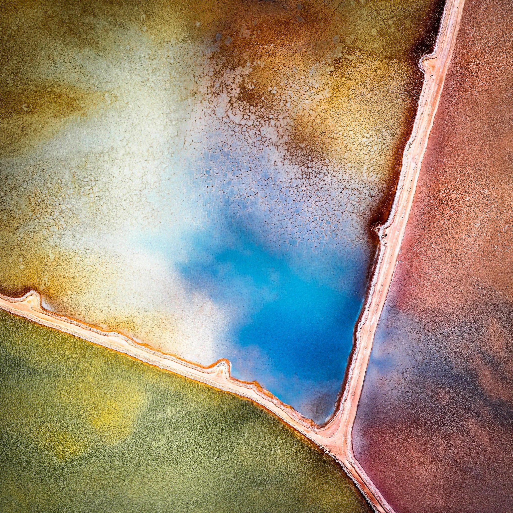 T.I.M ArtistsWishbone flat-Edit Actual Entry -Edit copy 2-Edit.JPG