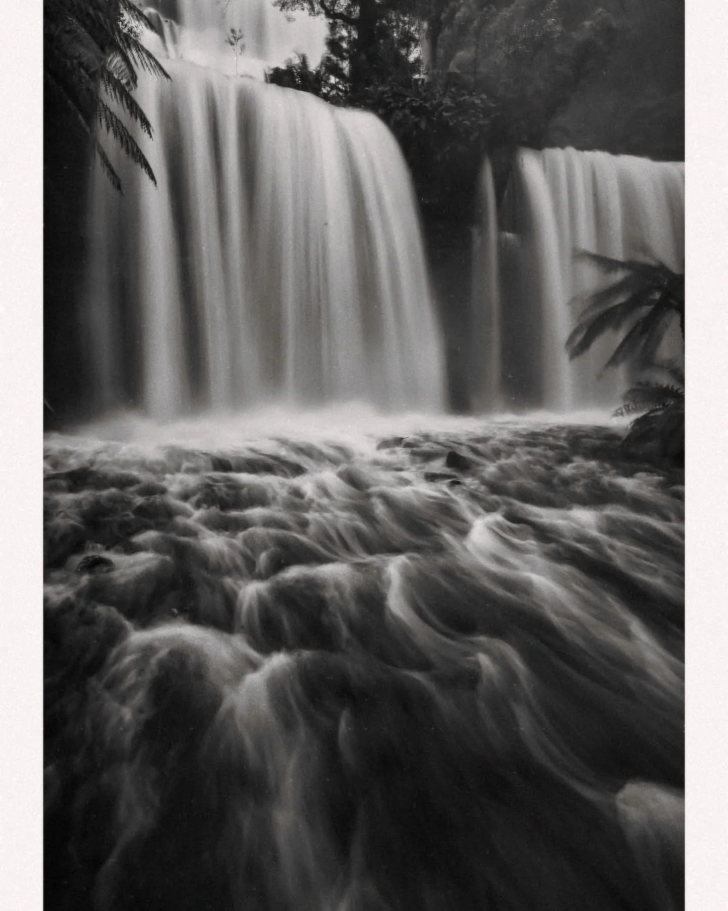 Mt. Field National Park