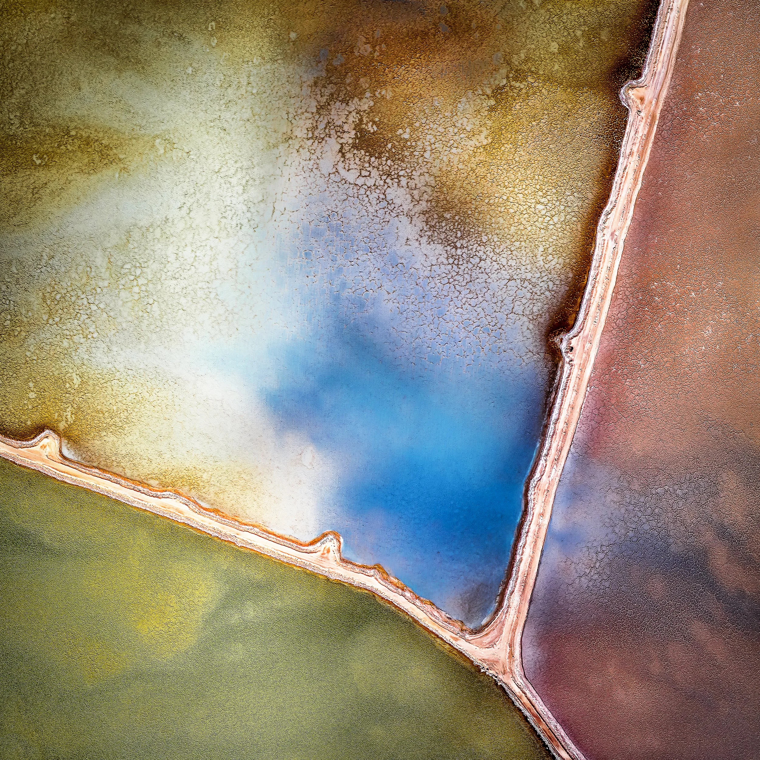 Shark Bay