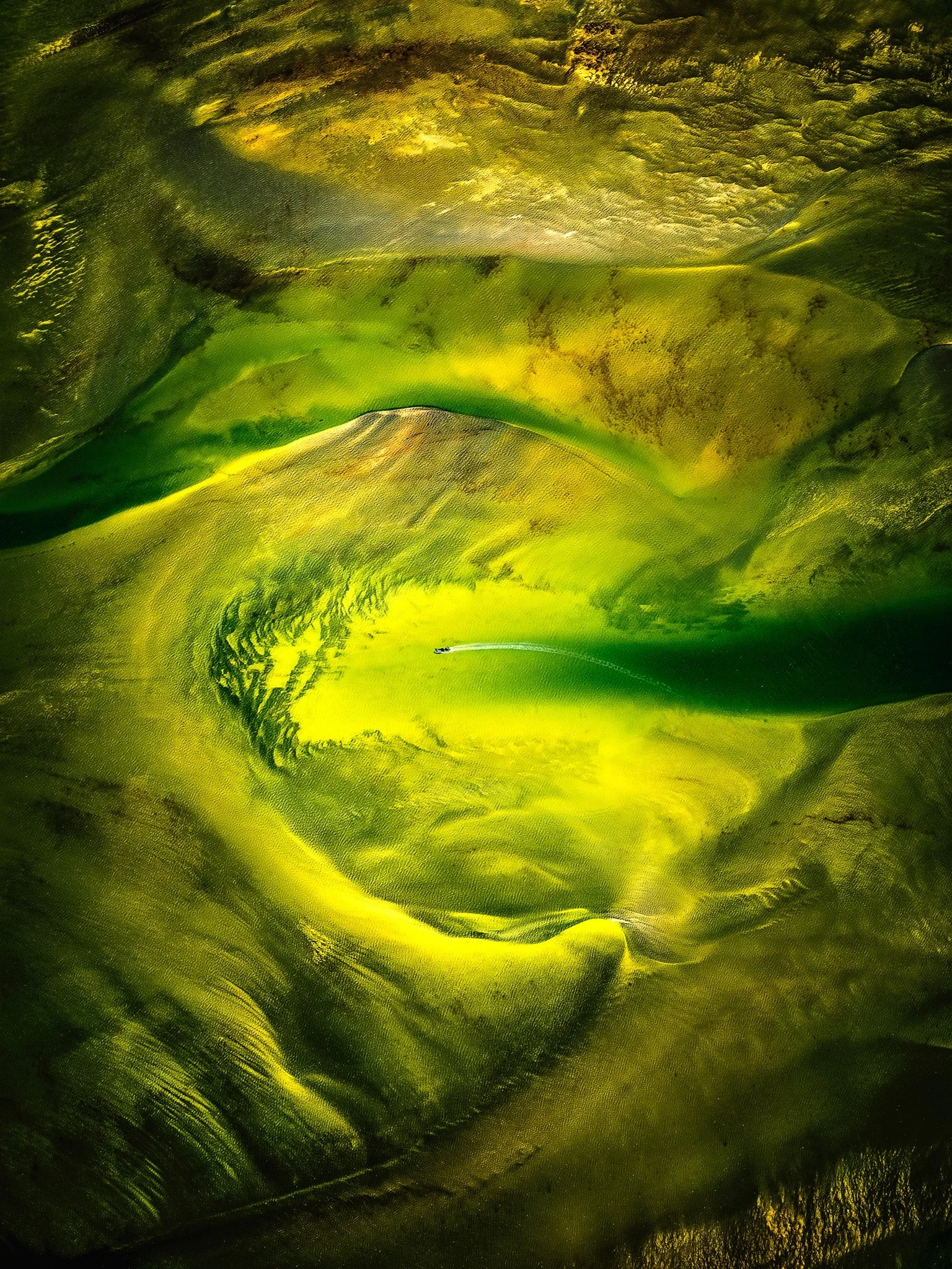 T.I.M ArtistsGreen Nebula flat-vavavoom5-Edit.JPG